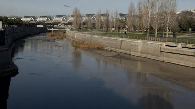 Carmena busca rapaces y murciélagos aniquiladores de plagas para el río Manzanares