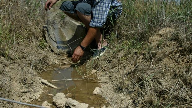 La reserva de agua en la cuenca del Ebro se ha disparado un 22% en un mes