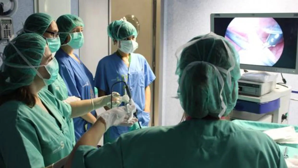Un equipo de ginecólogas del Sescam, durante un curso de cirugía endoscópica