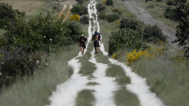 Denuncian el secuestro y violación de una peregrina en el Camino de Santiago