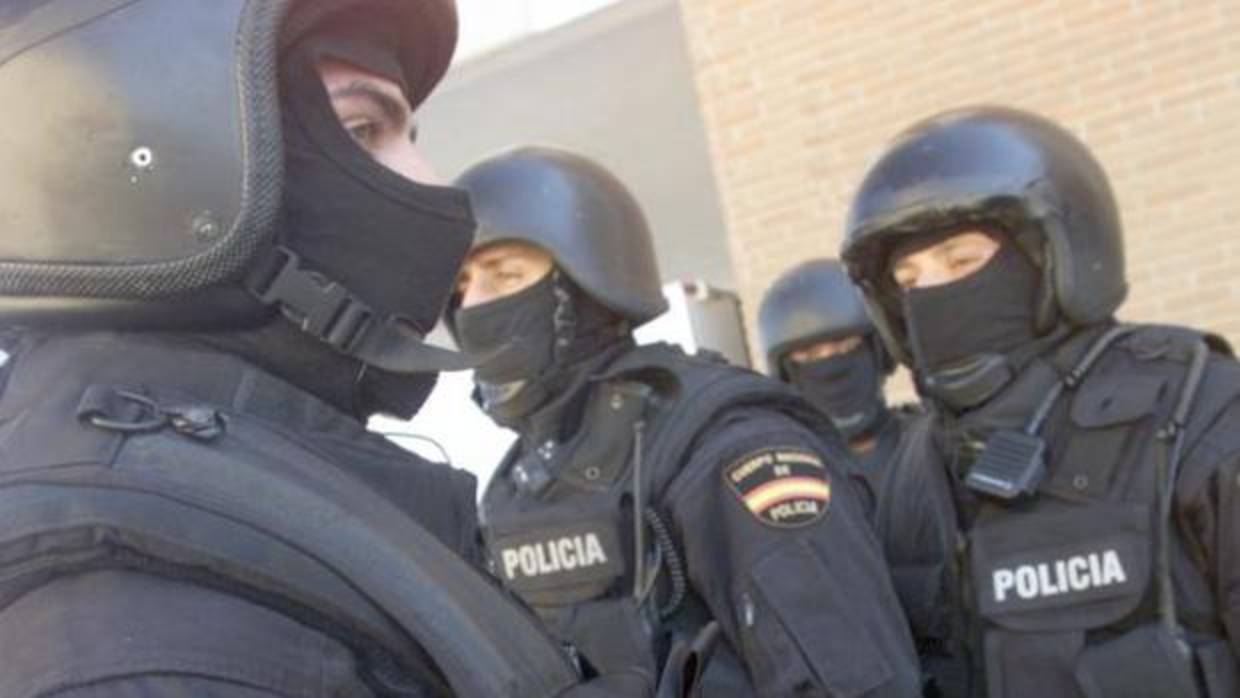 Agentes especializados de la Policía Nacional