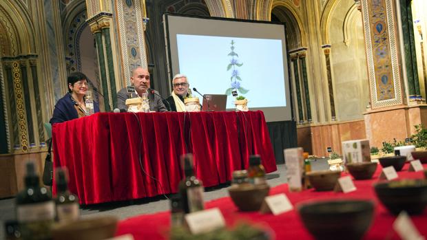Les plantes aromàtiques també tenen veu en valencià