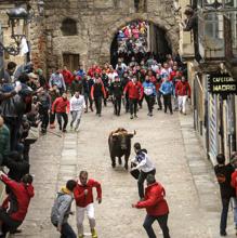 Encierro en el Carnaval del Toro de Ciudad Rodrigo