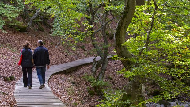 Cinco planes para disfrutar con tu pareja en el día de San Valentín