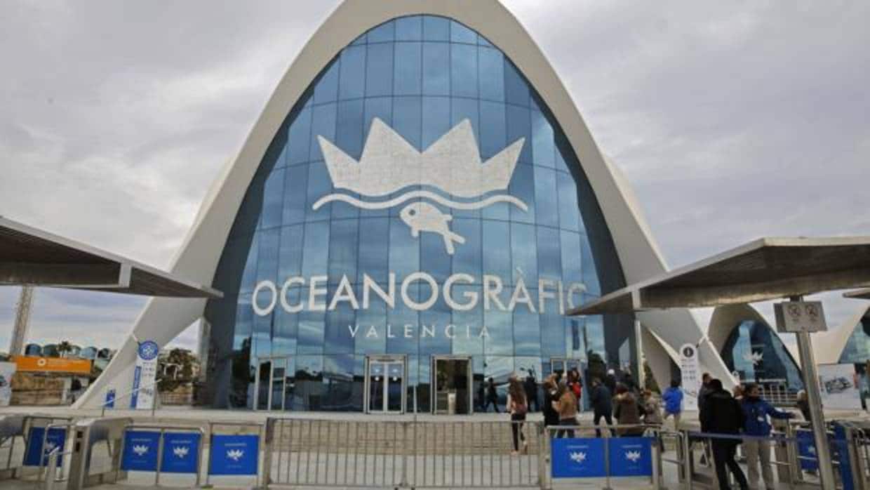 El Oceanogràfic de Valencia celebra el quince aniversario con nuevas acividades y proyectos