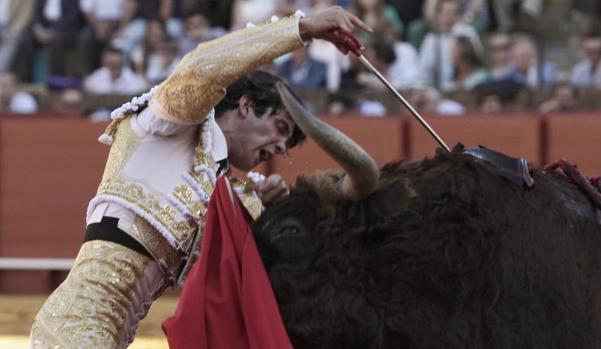 Juan del Álamo abrió la Puerta Grande en Madrid el año pasado y es uno de los jóvenes toreros que más están llamando la atención