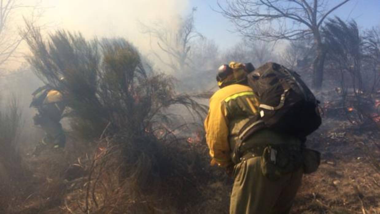 Tres medios terrestres y uno aéreo participan en la extinción del incendio