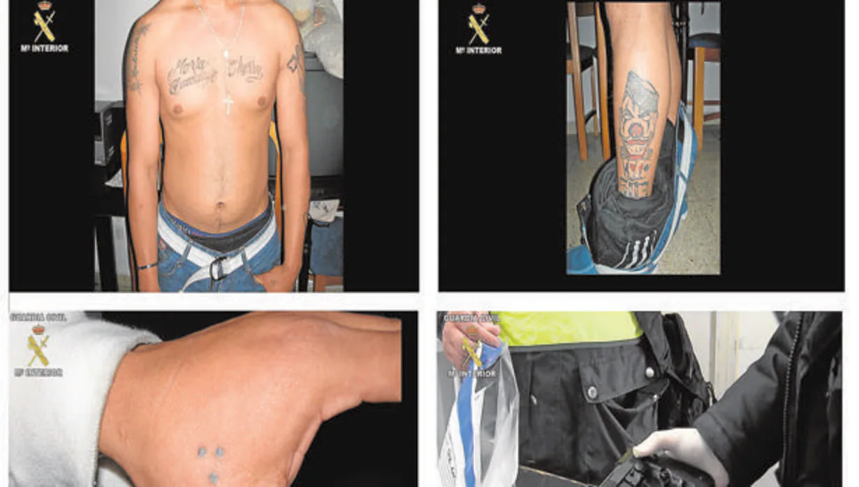 Imágenes de los tatuajes de algunos de los detenidos por la Guardia Civil en la operación Cruasán