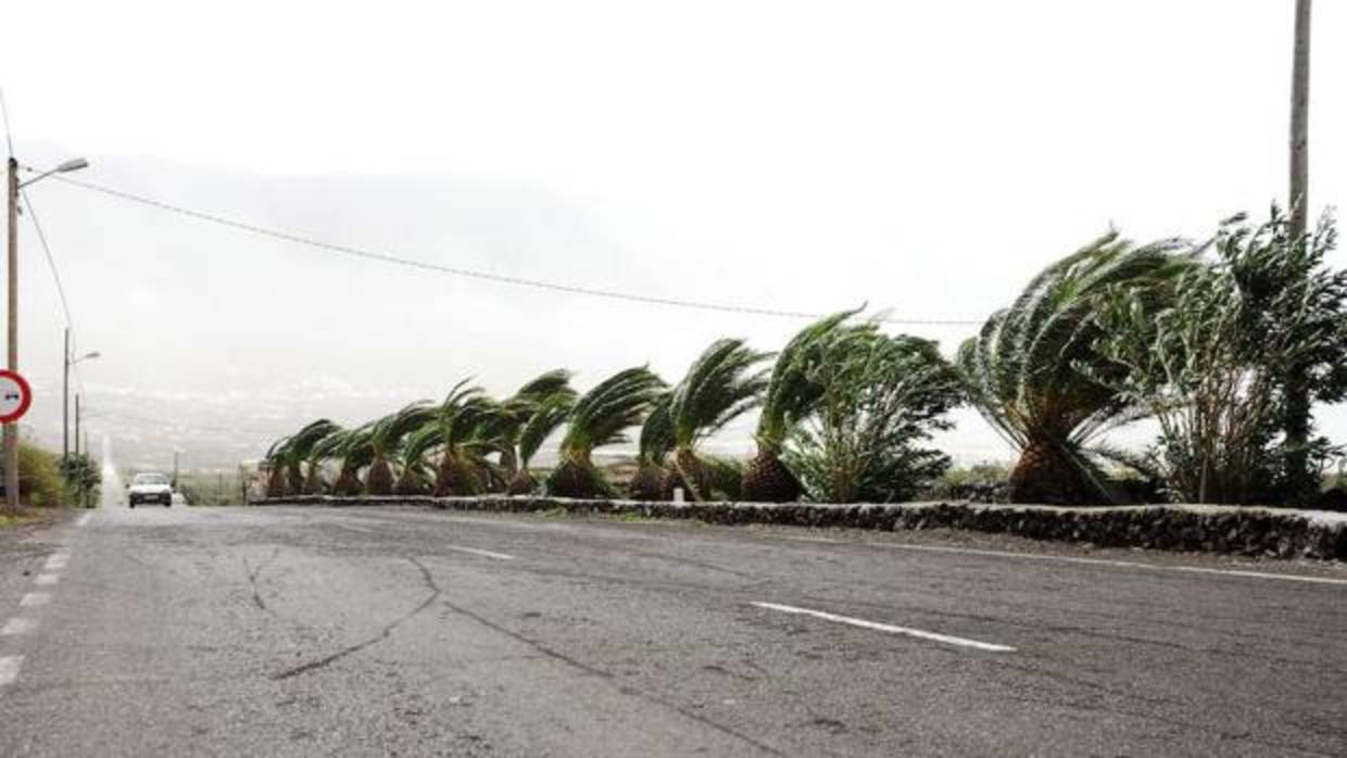 Temporal de viento en Canarias