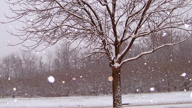 La nieve obliga a suspender todo el transporte escolar este miércoles en Cataluña