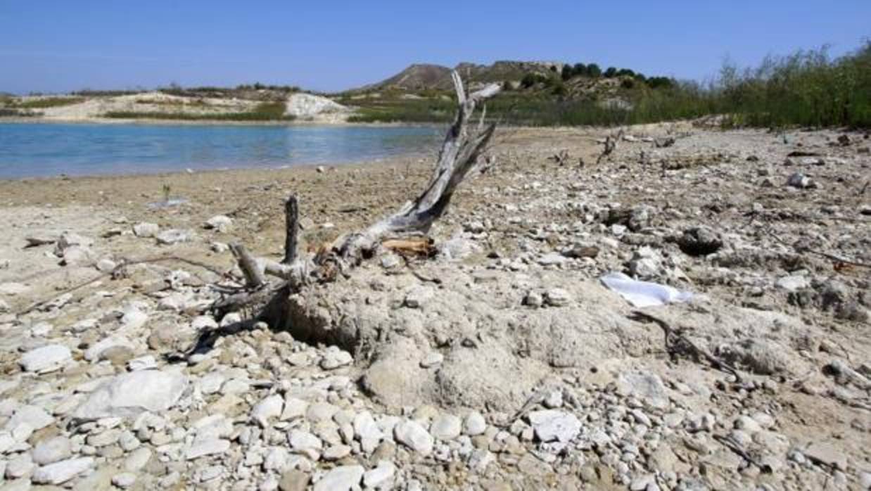 Aspecto de un embalse de la cuenca del Segura, en la provincia de Alicante