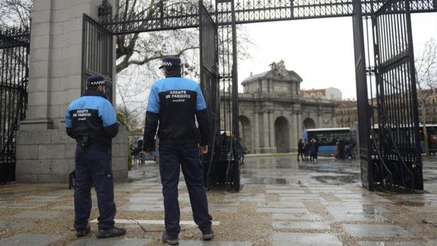 El Retiro se blinda contra la caída de ramas y árboles