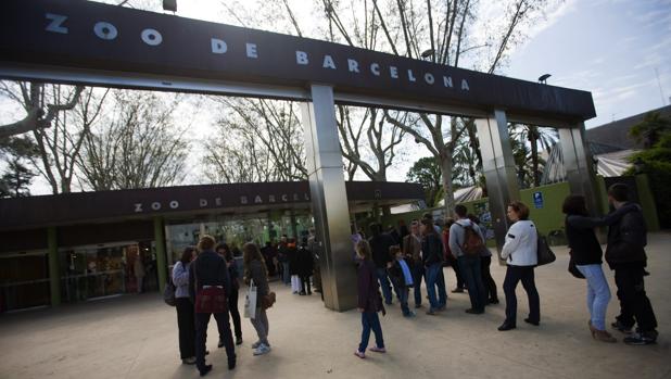 El Zoo de Barcelona se queda sin camellos, delfines y tigres para especializarse en fauna autóctona