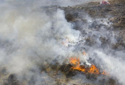 Los bomberos frenan un incedio que amenazaba el yacimiento arqueológico de Siega Verde