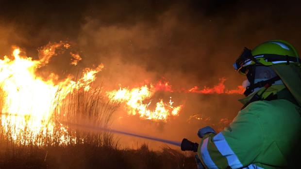 Los Bomberos trabajan desde este martes en la extinción de un incendio forestal en Torreblanca