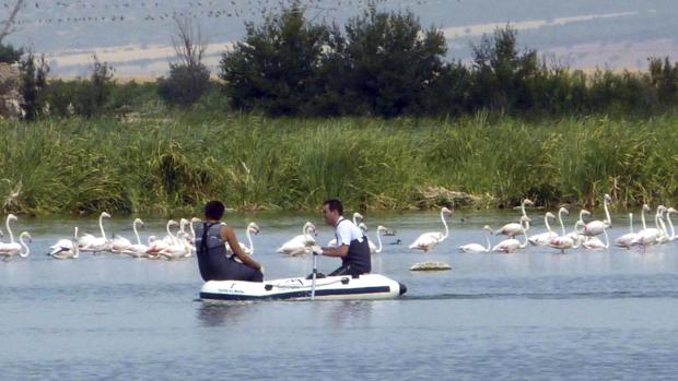 La Laguna de Navaseca, un oasis para las aves