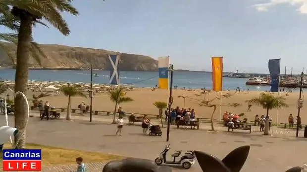 Vídeo: así es la primavera en Los Cristianos, Tenerife