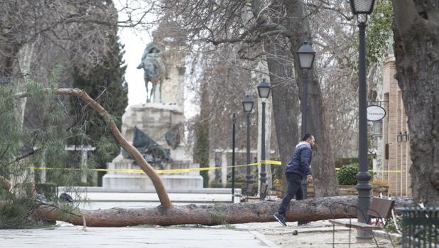 Sabanés cerró El Retiro el miércoles con vientos inferiores a los de la muerte del niño