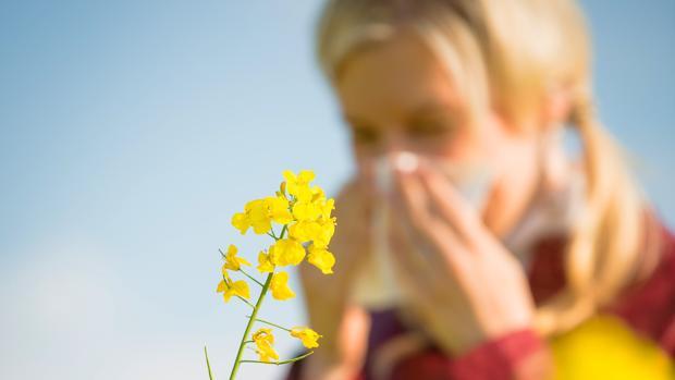 La primavera será moderada para los alérgicos al pólen