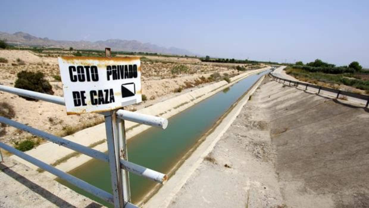 Campos afectados por la escasaez de agua en la zona de la Vega Baja (Alicante)