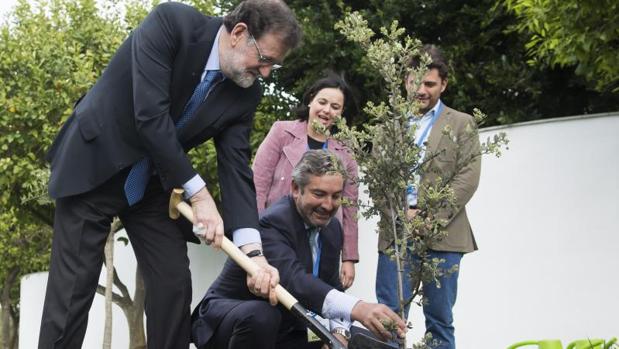 Rajoy planta una encina en Sevilla: «Es un árbol duro y muy español»