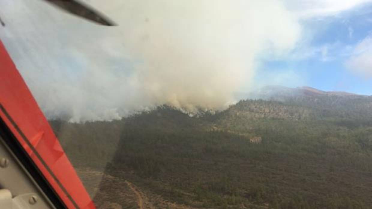 Vídeo: los canarios, unidos contra el incendio forestal de Tenerife