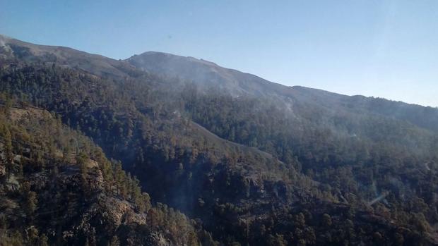 El incendio de Tenerife, bajo control