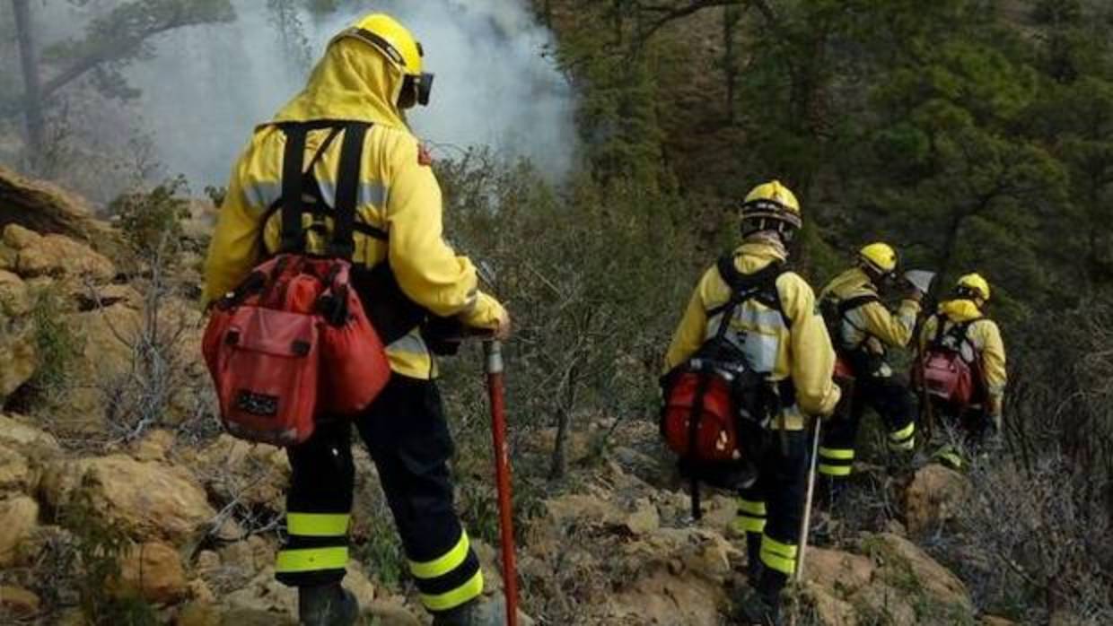 La brigada «Presa» accediendo a pie a la zona del fuego en la zona alta de Granadilla