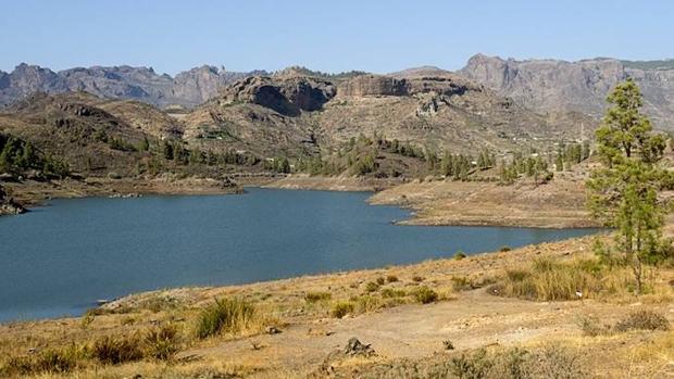 Hallan un foso lleno de animales muertos en la explotación de un ganadero del sur de Gran Canaria