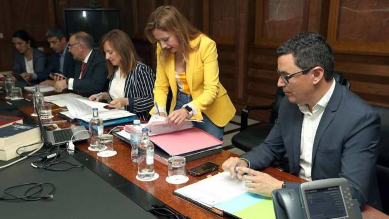 Rosa Dávila (c.) en el Consejo de Gobierno de este lunes