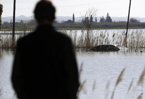 Un ganadero observa el nivel de la crecida del Ebro en Aragón