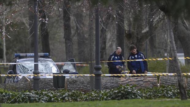 Ahora Madrid evita enviar al PP la información sobre la caída de un árbol que mató a un niño en El Retiro