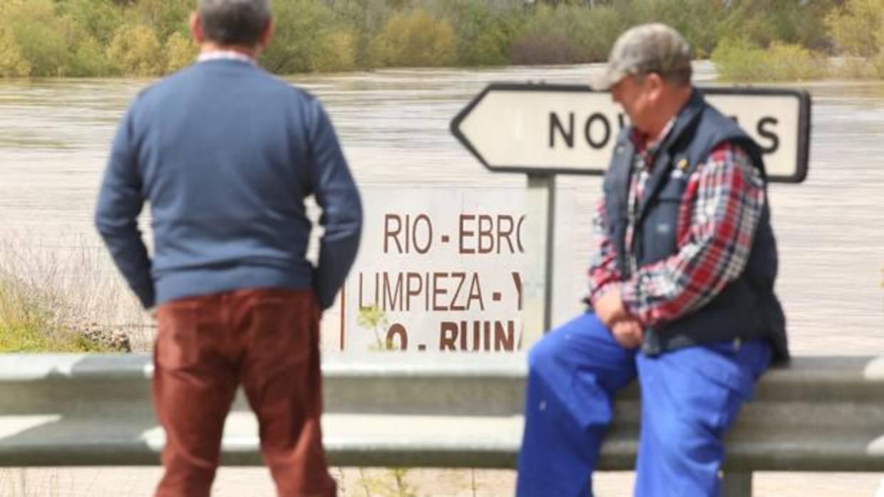 Los pueblos ribereños llevan años quejándose de la falta de limpieza del Ebro