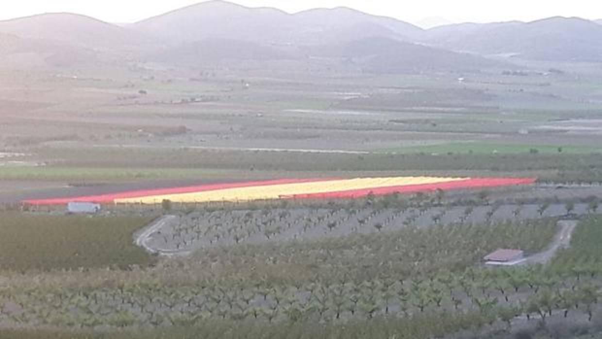 La enorme bandera ha sido tejida para proteger del pedrisco una finca de Cerezos en Olvés (Zaragoza)