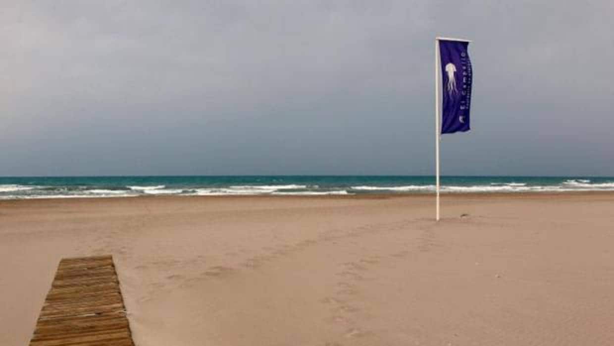 Bandera de alerta por medussas en El Campello (Alicante) esta semana