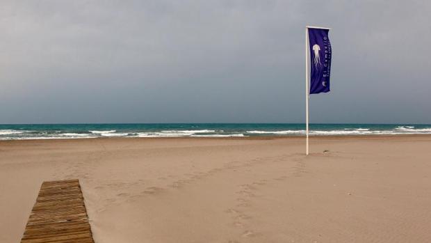 Un cambio de viento aleja el peligro de la medusa «Carabela portuguesa» de las playas de Alicante