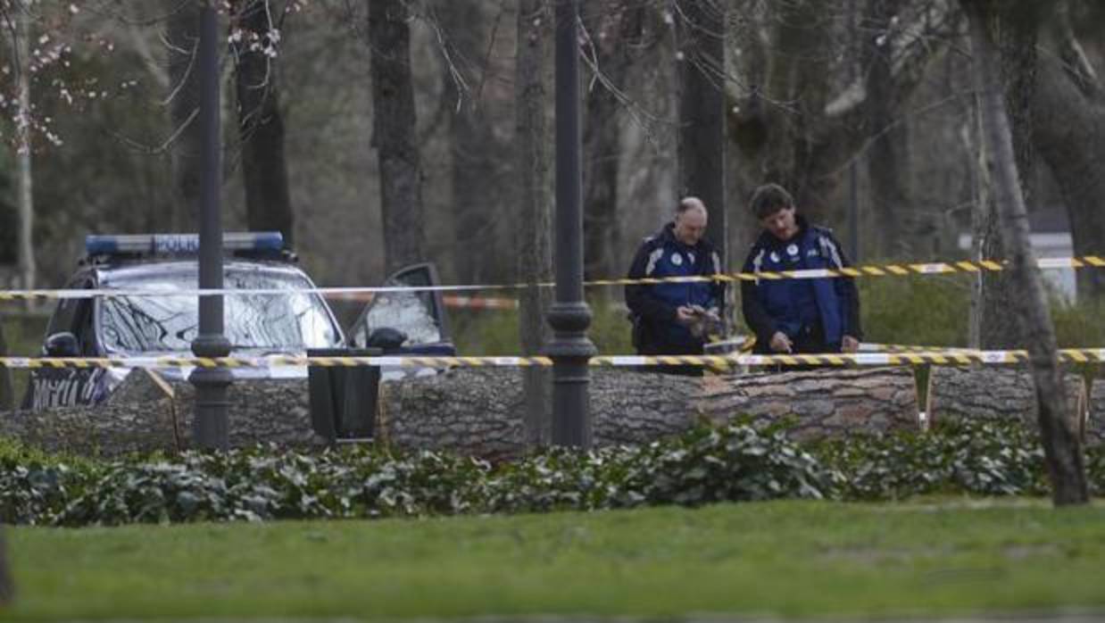 La Policía Municipal acordona la zona donde cayó el árbol del Retiro el pasado 24 de marzo