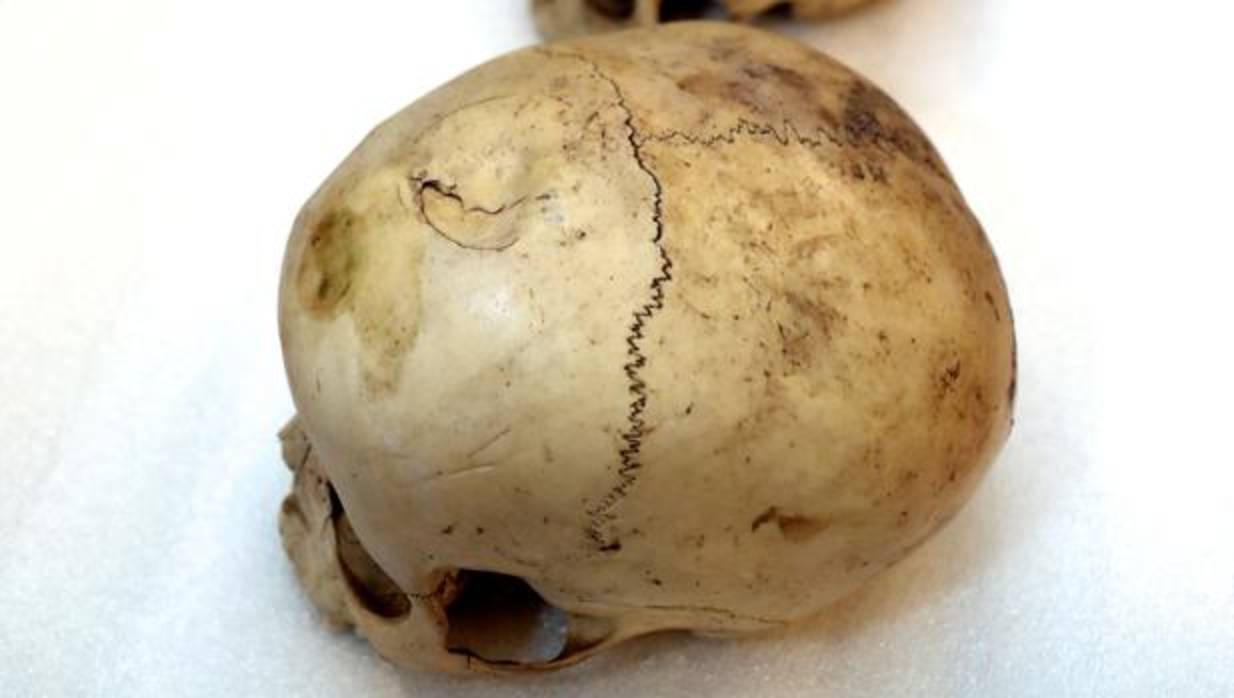 Los restos óseos están siendo analizados en el Imelga