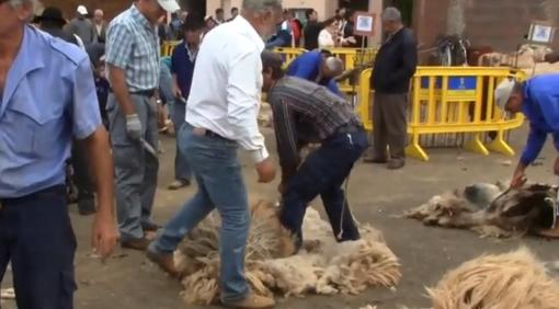 Cinco formas de sobrevivir a la celebración del Día de Canarias