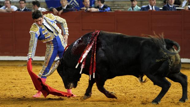 Castella, Manzanares, Cayetano y Roca Rey, en la feria de San Pedro de Burgos