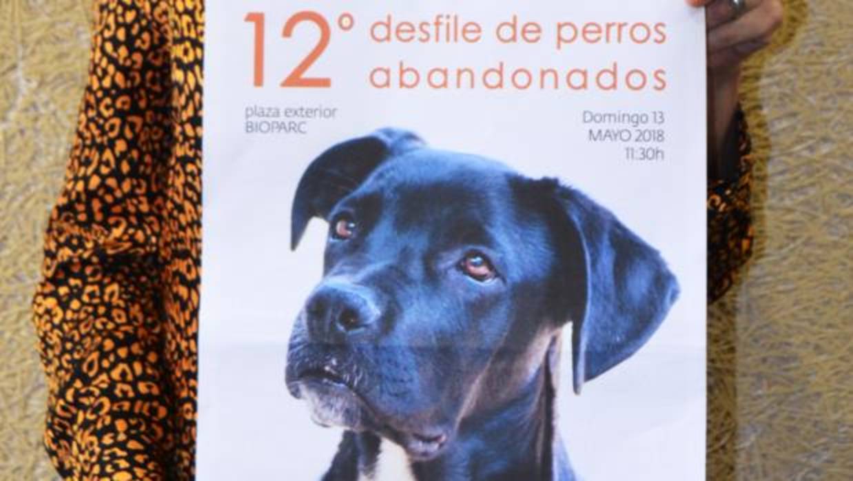 Cartel del Desfile de perros abandonados AUPA Bioparc Valencia este domingo 13 de mayo