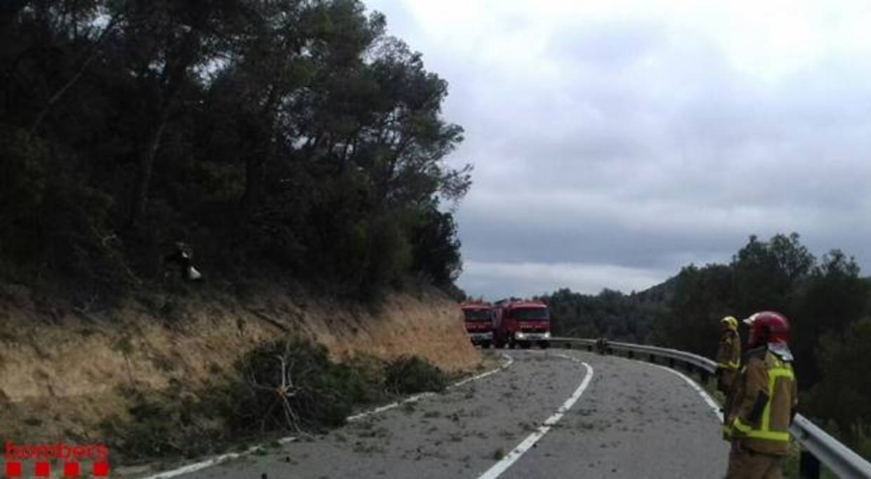 Dotacioens de los bomberos trabajando en el lugar del accidente