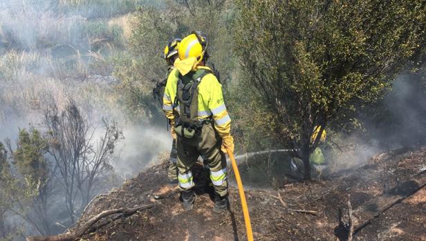 Un incendio forestal obliga a evacuar tres viviendas en Fanzara