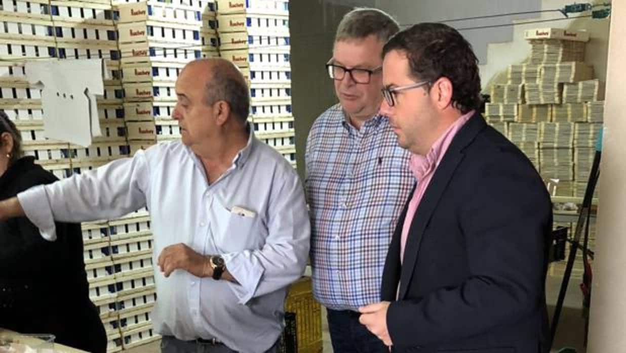 Un productor de nísperos conversa con Almodóbar y Solbes durante su visita a Callosa d'en Sarrià