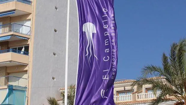 La presencia de medusas carabelas portuguesas obliga a prohibir de nuevo el baño en playas españolas