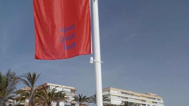 La amenaza de la medusa carabela portuguesa se extiende a más playas alicantinas