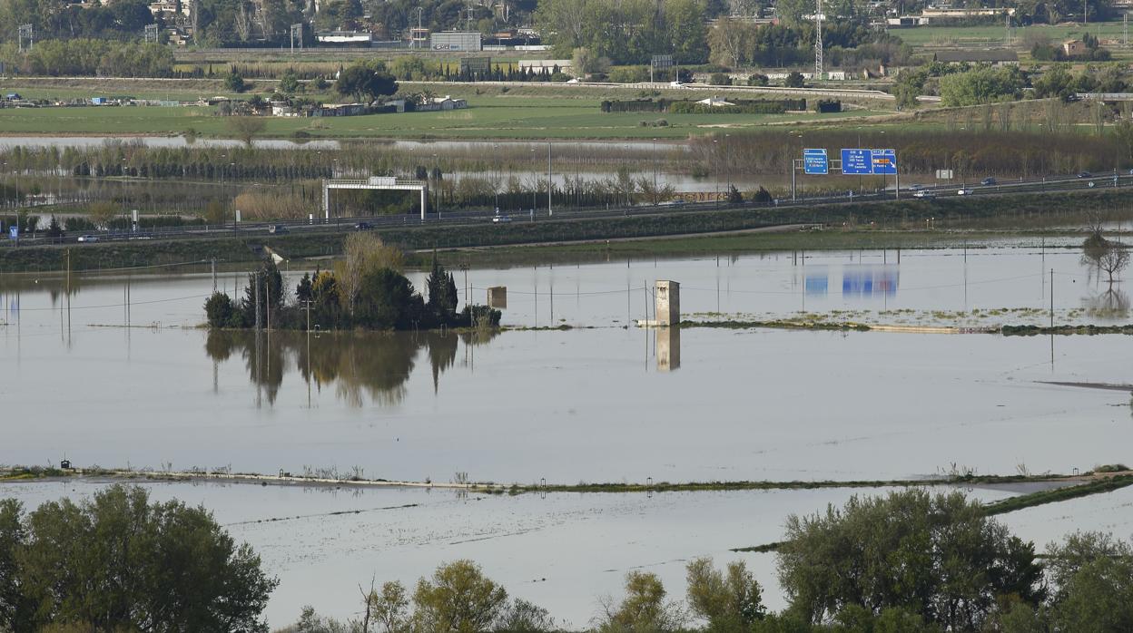 Campos ahogados por la riada del Ebro de mediados de abril