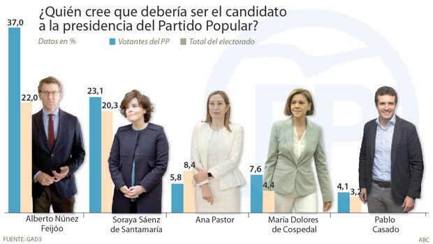 Feijóo parte como favorito entre los votantes del PP para suceder a Rajoy