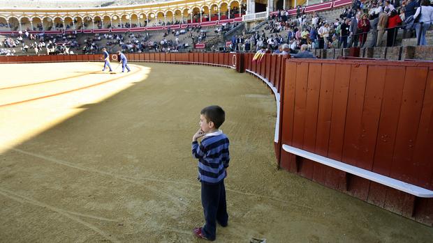 Una empresa taurina regala 1.200 invitaciones a niños para los toros en Daimiel