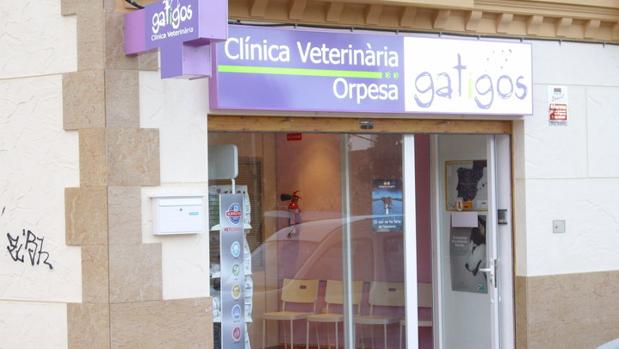 Nueva gerencia única en la Clínica Veterinaria Gat i Gos de Oropesa